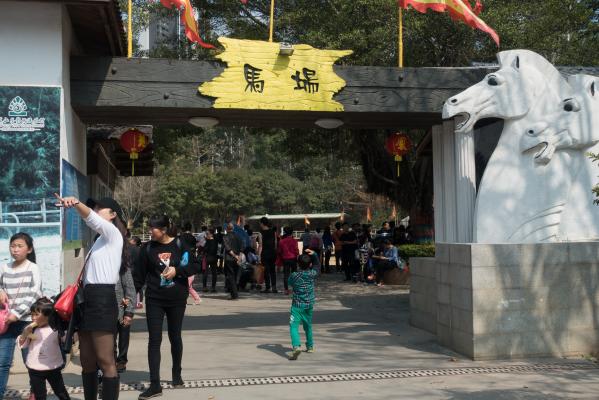 东莞凤岗龙凤山庄马场