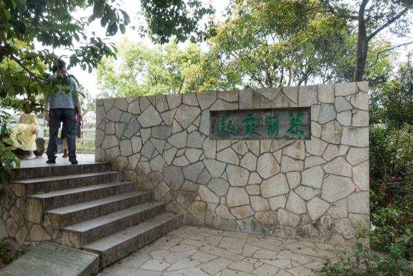 梧桐山