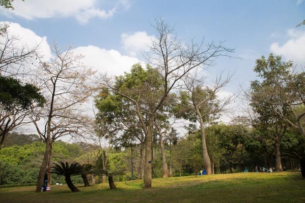 笔架山公园