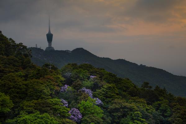 梧桐山凤凰台