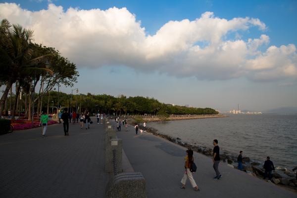 深圳湾公园