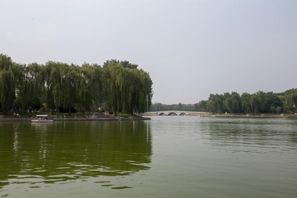 陶然亭公园