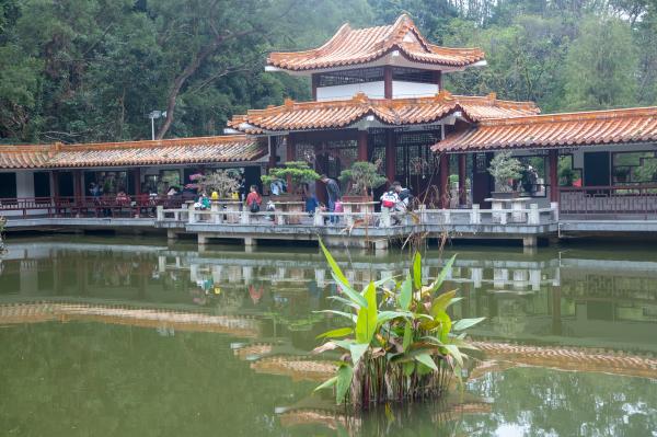 仙湖植物园-盆景园