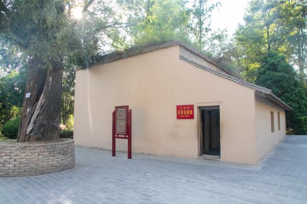王家坪