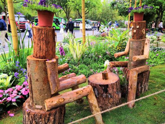 仙湖花展