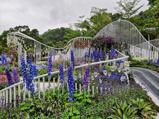 仙湖花展