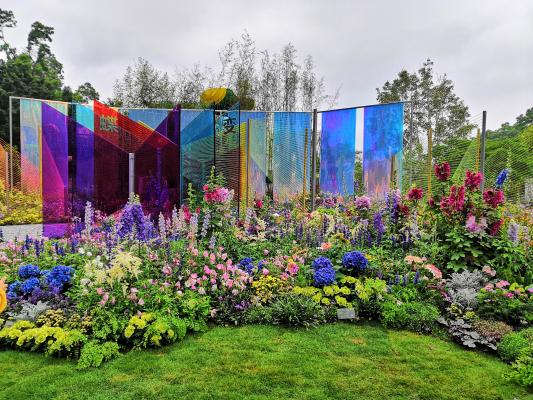 仙湖花展