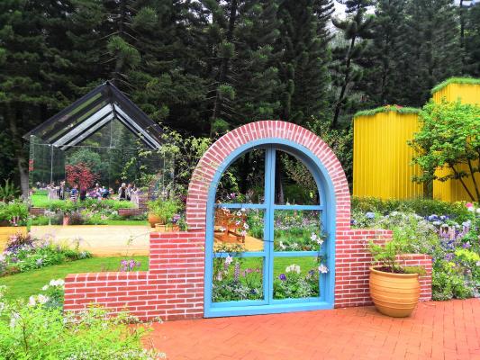 仙湖花展