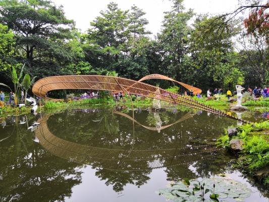 仙湖花展