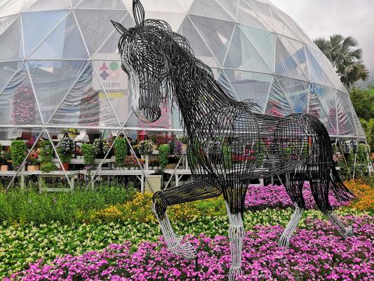 仙湖花展