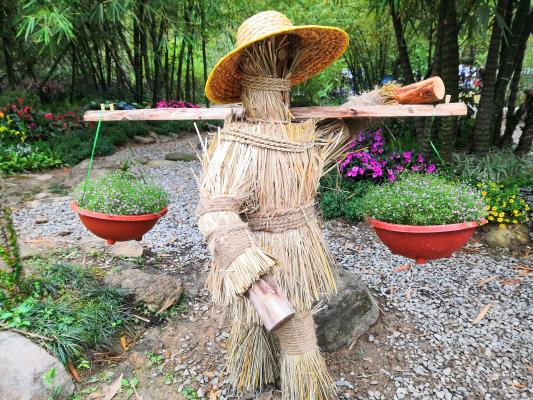 仙湖花展
