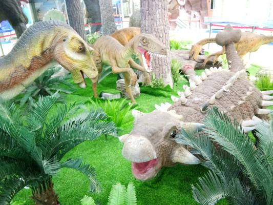 深圳古生物博物馆