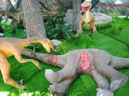 深圳古生物博物馆