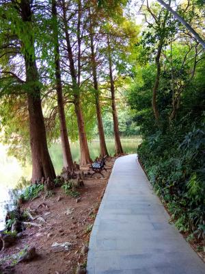 仙湖环湖栈道