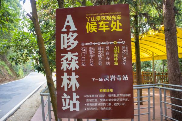 江西大余丫山