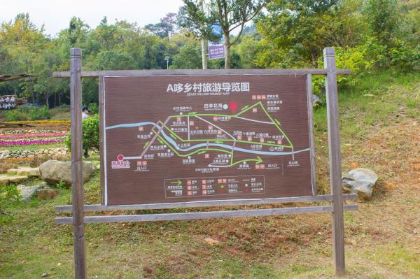 江西大余丫山