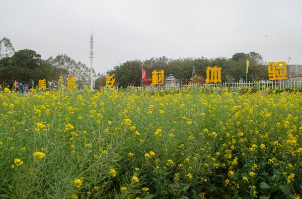 鹏城美丽乡村