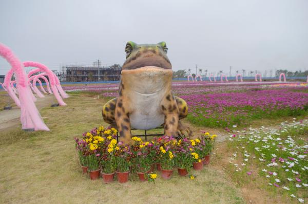 大鹏农科生态园