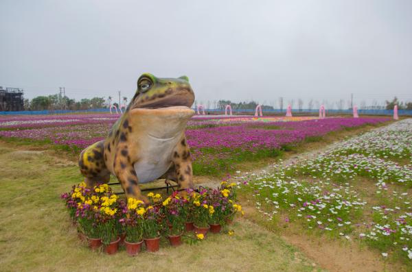 大鹏农科生态园