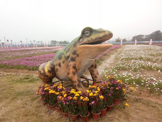 大鹏农科生态园