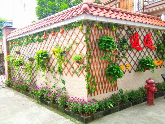 顺德逢简水乡