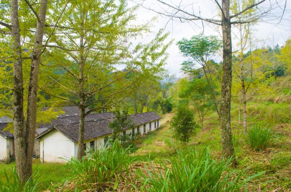 南雄帽子峰林场