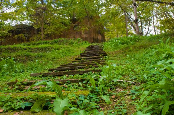 南雄帽子峰林场