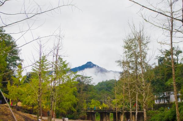 南雄帽子峰林场
