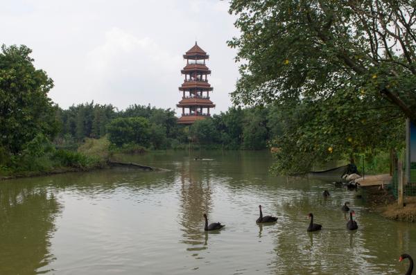 东莞香市动物园