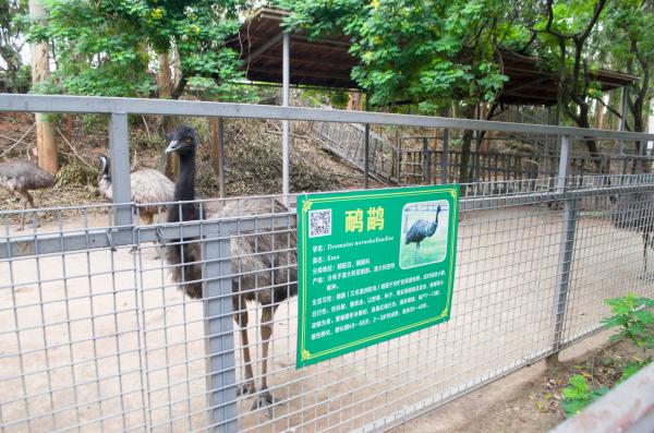 东莞香市动物园