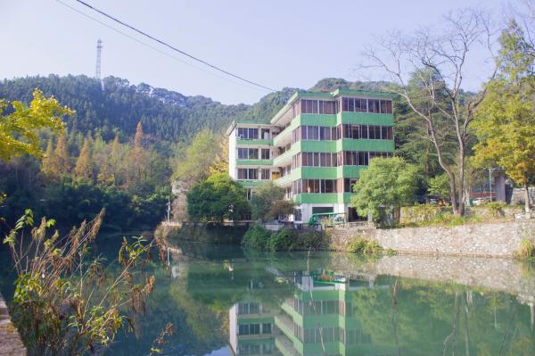 南雄帽子峰银杏