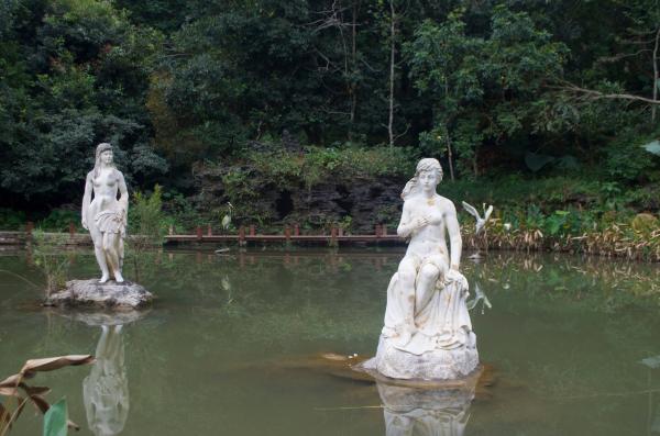 仙湖植物园