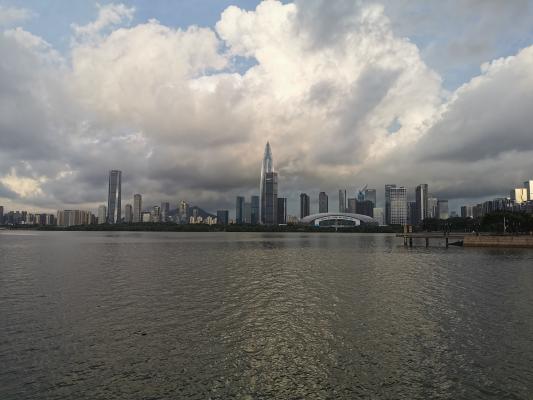 深圳湾春笋
