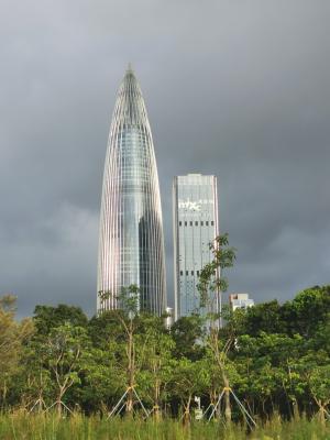 深圳湾春笋