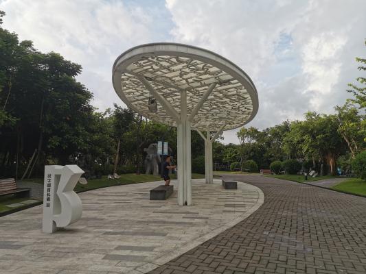 深圳湾春笋