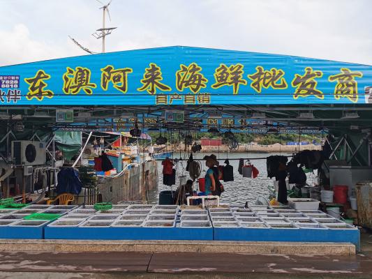 珠海东澳岛