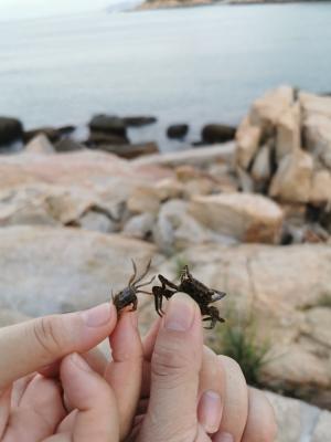 珠海东澳岛