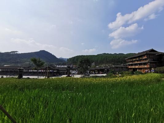 广西沿途风景