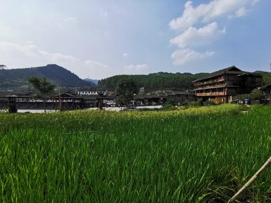 广西沿途风景