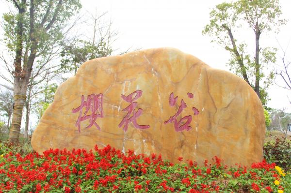 聚龙山