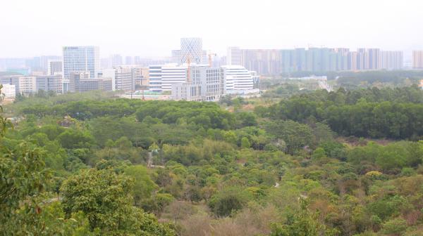 聚龙山