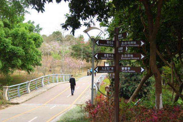 聚龙山