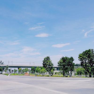 西湾红树林