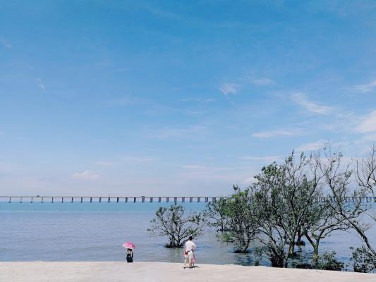 西湾红树林