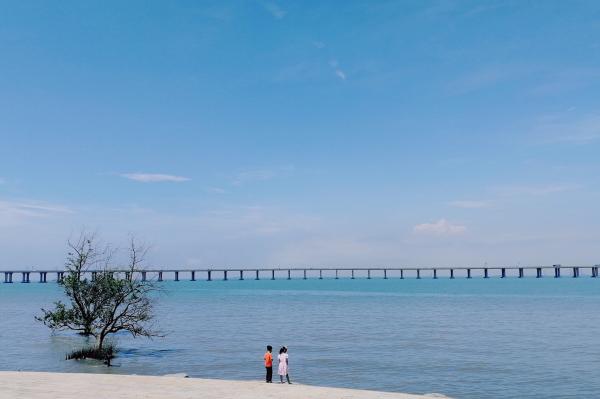 西湾红树林