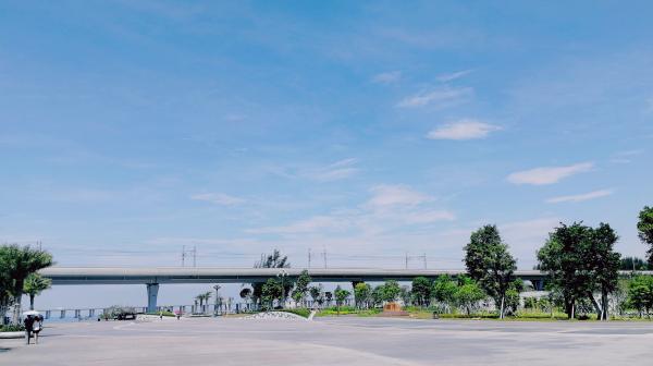 西湾红树林