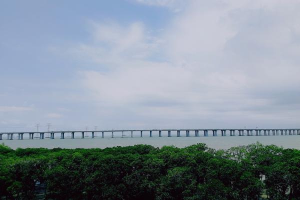 西湾红树林