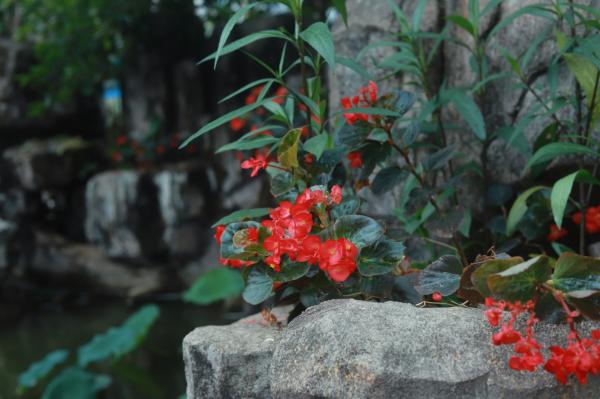 洪湖