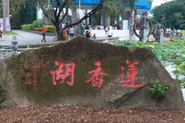 洪湖