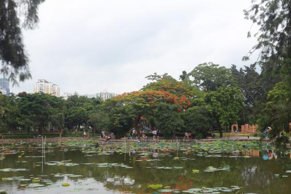 洪湖